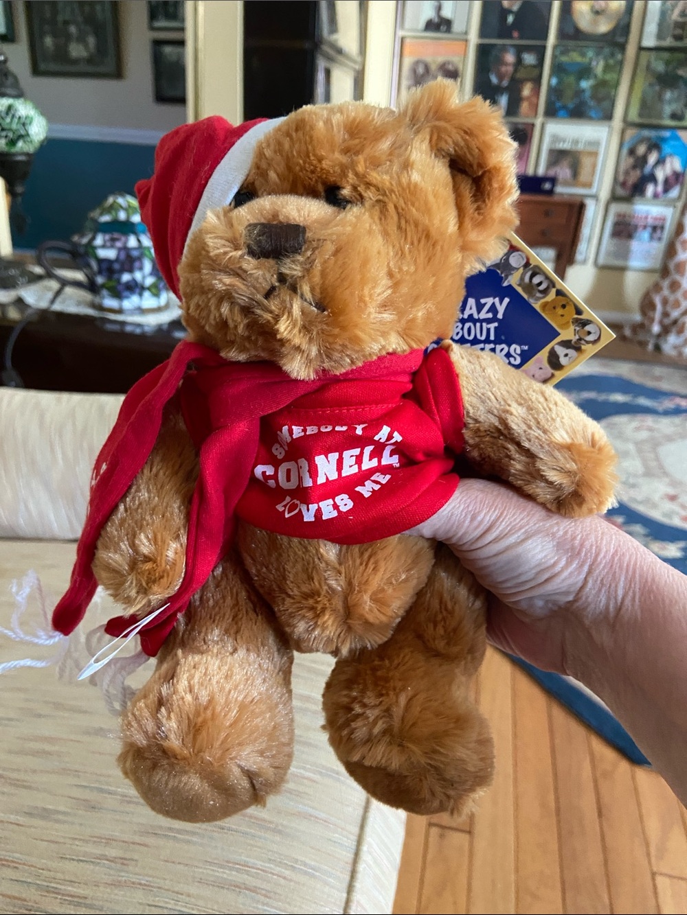 Cornell Teddy Bear Plush in Tan with Red Scarf